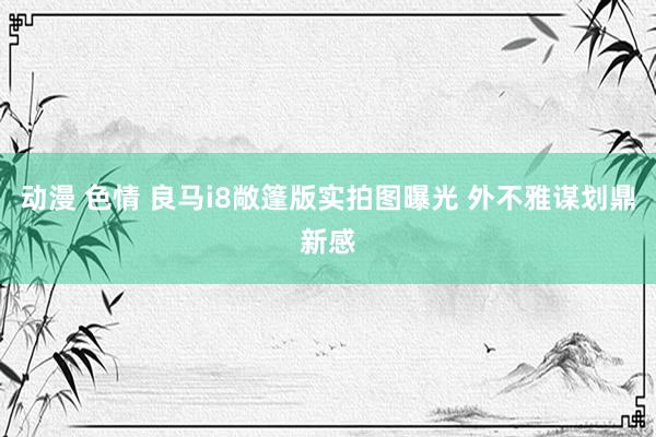 动漫 色情 良马i8敞篷版实拍图曝光 外不雅谋划鼎新感