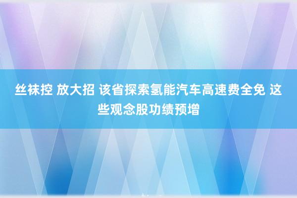 丝袜控 放大招 该省探索氢能汽车高速费全免 这些观念股功绩预增