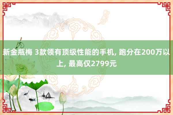 新金瓶梅 3款领有顶级性能的手机， 跑分在200万以上， 最高仅2799元