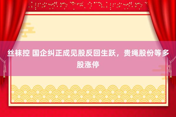 丝袜控 国企纠正成见股反回生跃，贵绳股份等多股涨停