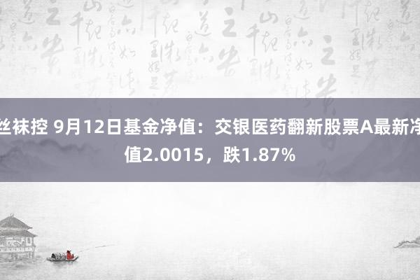 丝袜控 9月12日基金净值：交银医药翻新股票A最新净值2.0015，跌1.87%