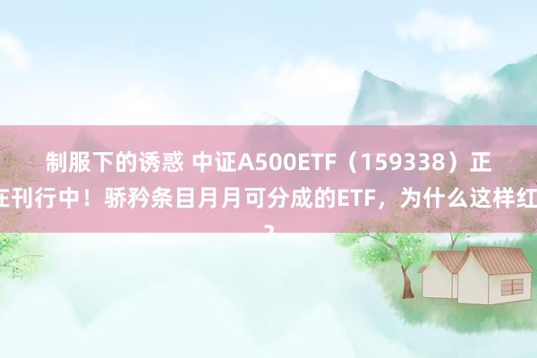 制服下的诱惑 中证A500ETF（159338）正在刊行中！骄矜条目月月可分成的ETF，为什么这样红？