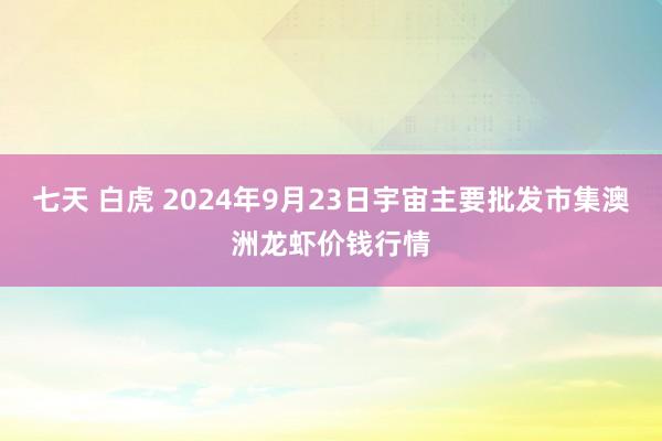 七天 白虎 2024年9月23日宇宙主要批发市集澳洲龙虾价钱行情