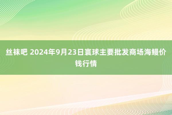 丝袜吧 2024年9月23日寰球主要批发商场海鳗价钱行情