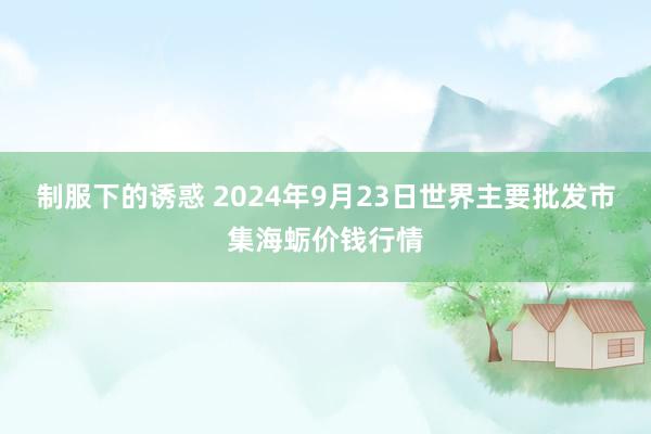 制服下的诱惑 2024年9月23日世界主要批发市集海蛎价钱行情