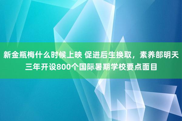 新金瓶梅什么时候上映 促进后生换取，素养部明天三年开设800个国际暑期学校要点面目