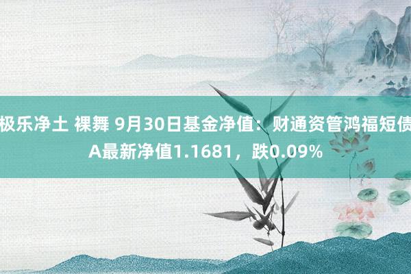 极乐净土 裸舞 9月30日基金净值：财通资管鸿福短债A最新净值1.1681，跌0.09%