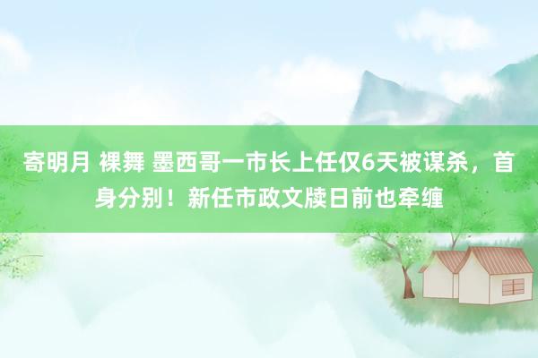 寄明月 裸舞 墨西哥一市长上任仅6天被谋杀，首身分别！新任市政文牍日前也牵缠