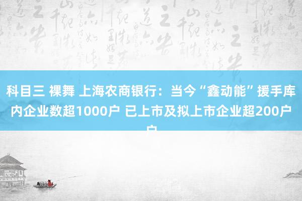 科目三 裸舞 上海农商银行：当今“鑫动能”援手库内企业数超1000户 已上市及拟上市企业超200户