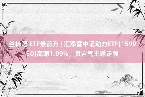 丝袜吧 ETF最前方 | 汇添富中证动力ETF(159930)高潮1.09%，页岩气主题走强