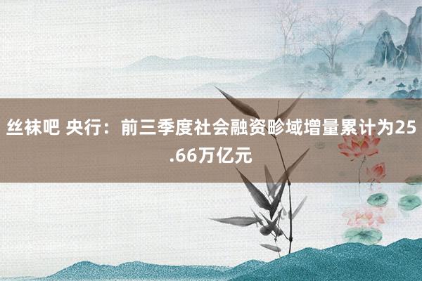 丝袜吧 央行：前三季度社会融资畛域增量累计为25.66万亿元