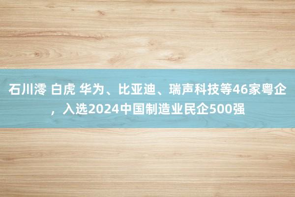 石川澪 白虎 华为、比亚迪、瑞声科技等46家粤企，入选2024中国制造业民企500强