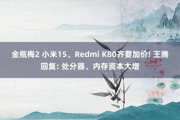 金瓶梅2 小米15、Redmi K80齐要加价! 王腾回复: 处分器、内存资本大增