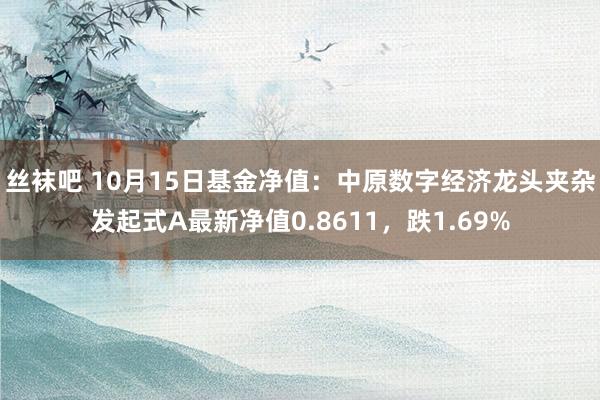 丝袜吧 10月15日基金净值：中原数字经济龙头夹杂发起式A最新净值0.8611，跌1.69%