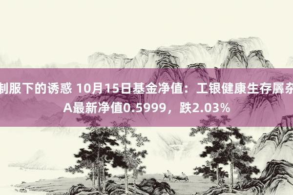 制服下的诱惑 10月15日基金净值：工银健康生存羼杂A最新净值0.5999，跌2.03%