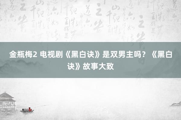 金瓶梅2 电视剧《黑白诀》是双男主吗？《黑白诀》故事大致