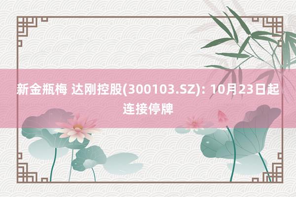 新金瓶梅 达刚控股(300103.SZ): 10月23日起连接停牌