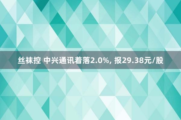 丝袜控 中兴通讯着落2.0%， 报29.38元/股