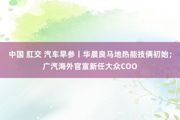 中国 肛交 汽车早参丨华晨良马地热能技俩初始；广汽海外官宣新任大众COO