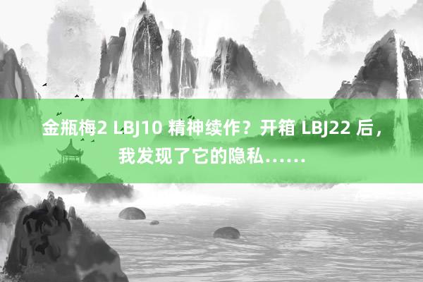 金瓶梅2 LBJ10 精神续作？开箱 LBJ22 后，我发现了它的隐私……