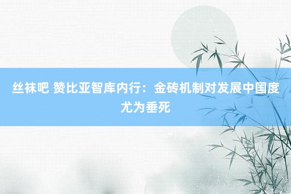 丝袜吧 赞比亚智库内行：金砖机制对发展中国度尤为垂死