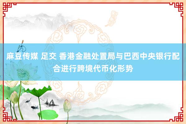 麻豆传媒 足交 香港金融处置局与巴西中央银行配合进行跨境代币化形势