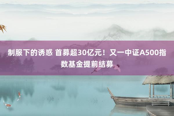 制服下的诱惑 首募超30亿元！又一中证A500指数基金提前结募