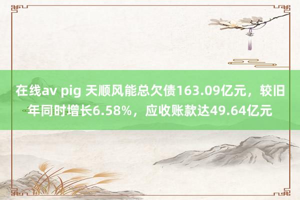 在线av pig 天顺风能总欠债163.09亿元，较旧年同时增长6.58%，应收账款达49.64亿元