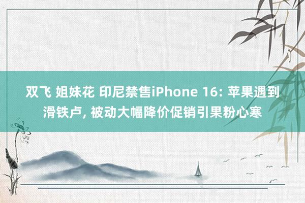 双飞 姐妹花 印尼禁售iPhone 16: 苹果遇到滑铁卢， 被动大幅降价促销引果粉心寒