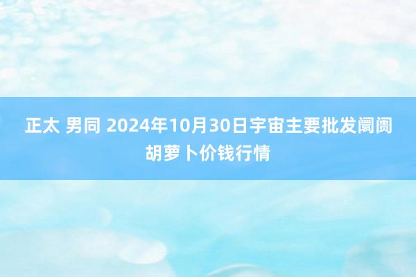 正太 男同 2024年10月30日宇宙主要批发阛阓胡萝卜价钱行情