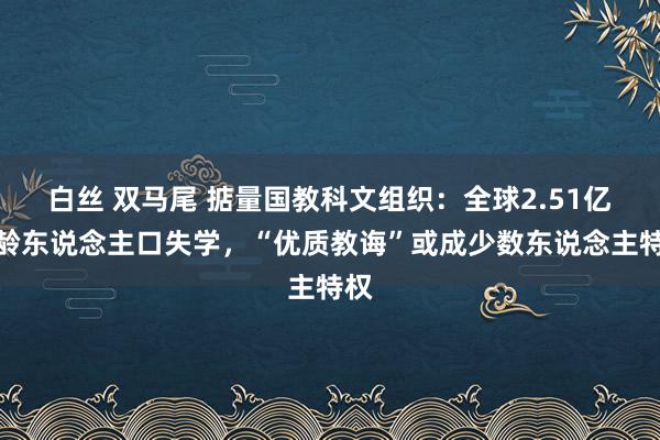 白丝 双马尾 掂量国教科文组织：全球2.51亿学龄东说念主口失学，“优质教诲”或成少数东说念主特权