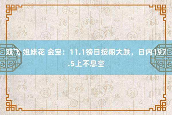 双飞 姐妹花 金宝：11.1镑日按期大跌，日内197.5上不息空