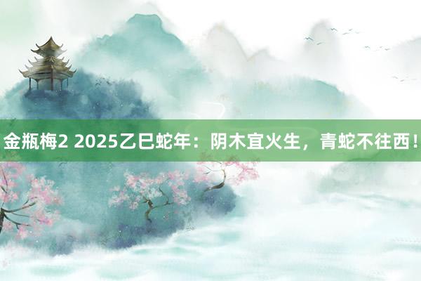 金瓶梅2 2025乙巳蛇年：阴木宜火生，青蛇不往西！