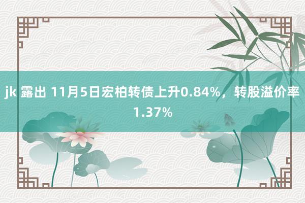 jk 露出 11月5日宏柏转债上升0.84%，转股溢价率1.37%