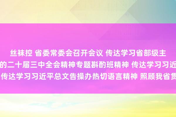 丝袜控 省委常委会召开会议 传达学习省部级主法式导干部学习贯彻党的二十届三中全会精神专题斟酌班精神 传达学习习近平总文告操办热切语言精神 照顾我省贯彻落实主见