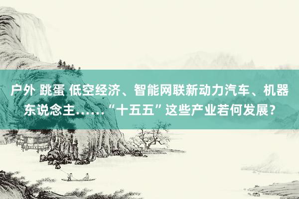 户外 跳蛋 低空经济、智能网联新动力汽车、机器东说念主……“十五五”这些产业若何发展？