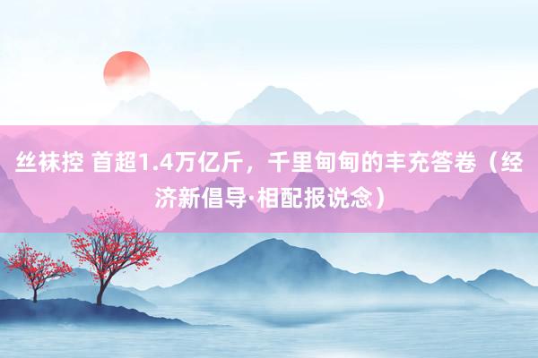 丝袜控 首超1.4万亿斤，千里甸甸的丰充答卷（经济新倡导·相配报说念）