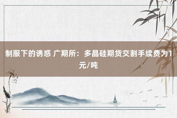 制服下的诱惑 广期所：多晶硅期货交割手续费为1元/吨