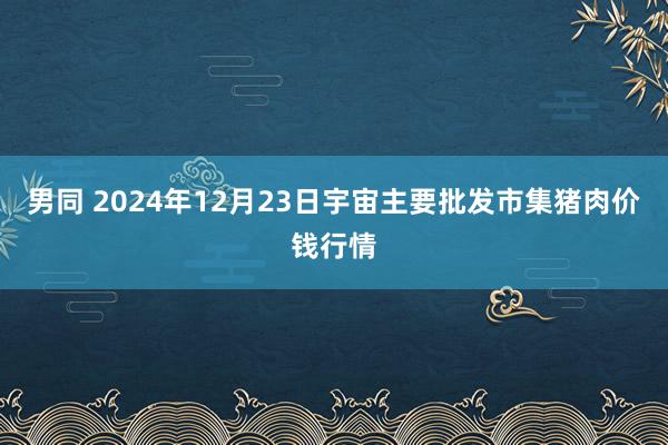 男同 2024年12月23日宇宙主要批发市集猪肉价钱行情