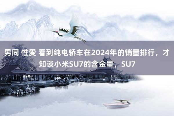 男同 性愛 看到纯电轿车在2024年的销量排行，才知谈小米SU7的含金量，SU7