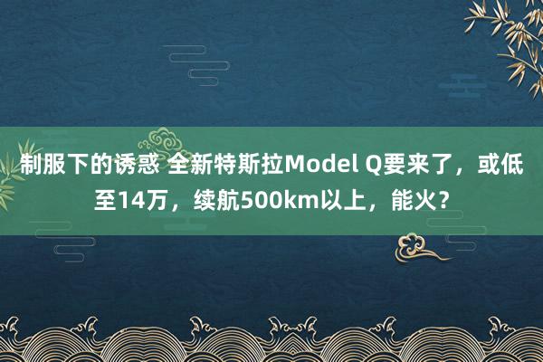 制服下的诱惑 全新特斯拉Model Q要来了，或低至14万，续航500km以上，能火？