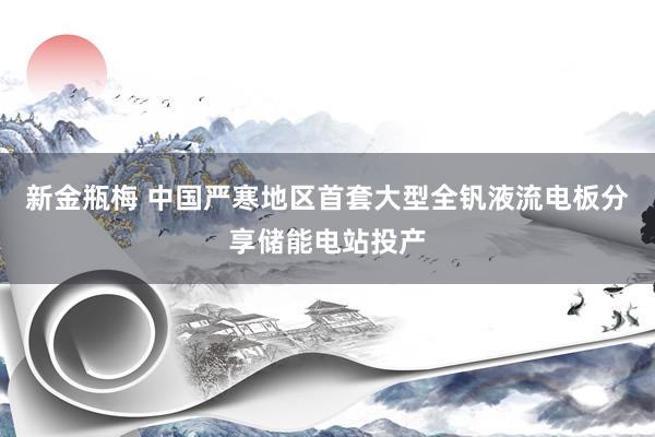 新金瓶梅 中国严寒地区首套大型全钒液流电板分享储能电站投产