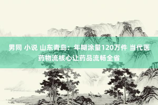 男同 小说 山东青岛：年糊涂量120万件 当代医药物流核心让药品流畅全省