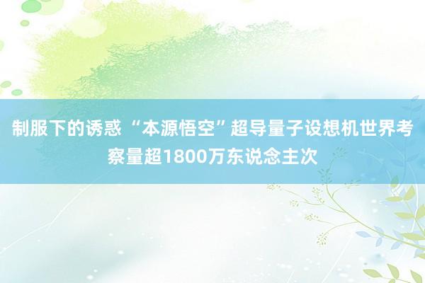 制服下的诱惑 “本源悟空”超导量子设想机世界考察量超1800万东说念主次