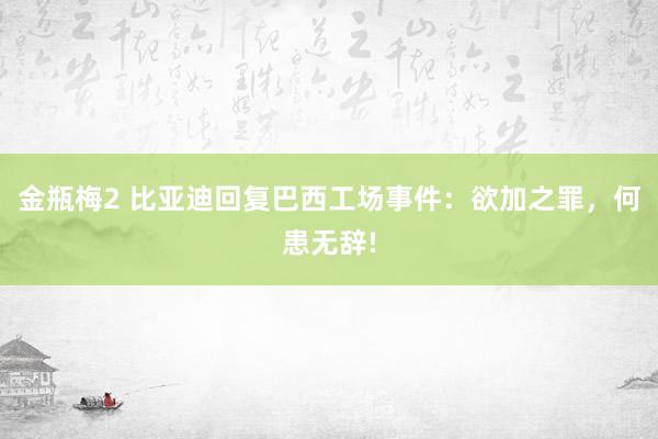 金瓶梅2 比亚迪回复巴西工场事件：欲加之罪，何患无辞!