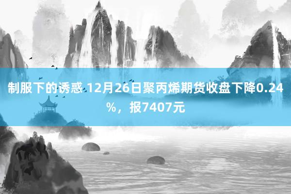 制服下的诱惑 12月26日聚丙烯期货收盘下降0.24%，报7407元