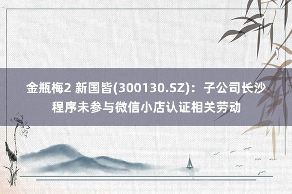 金瓶梅2 新国皆(300130.SZ)：子公司长沙程序未参与微信小店认证相关劳动