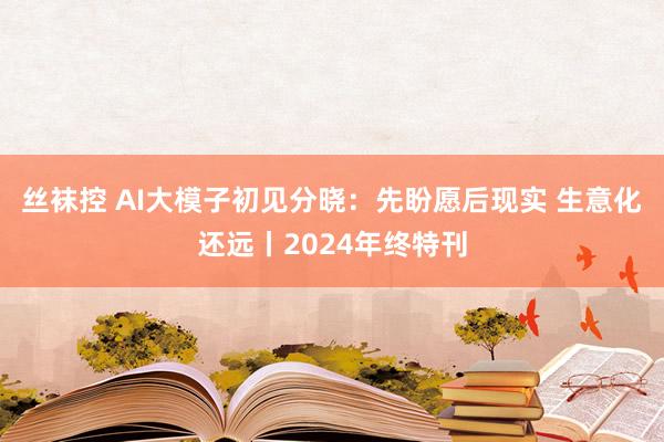 丝袜控 AI大模子初见分晓：先盼愿后现实 生意化还远丨2024年终特刊