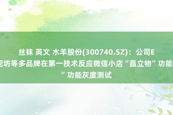 丝袜 英文 水羊股份(300740.SZ)：公司EDB、御泥坊等多品牌在第一技术反应微信小店“矗立物”功能灰度测试