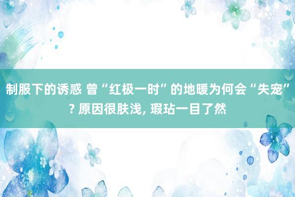 制服下的诱惑 曾“红极一时”的地暖为何会“失宠”? 原因很肤浅， 瑕玷一目了然